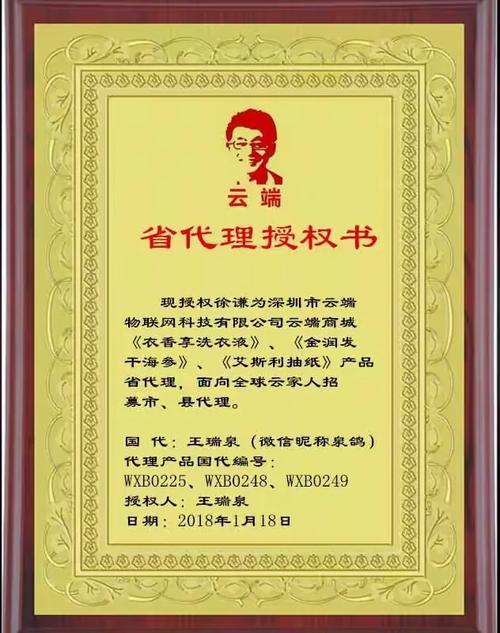 云端商城省代理授权与商品信息咨询服务深度解析